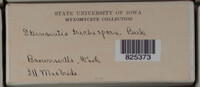 Image Associated With the Occurence